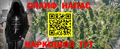 стаф Обь